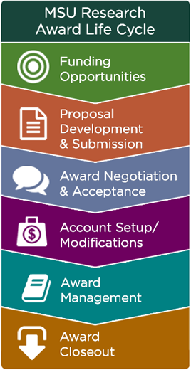 Research proposal msu 08 image