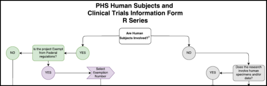Top section of the flowchart in the PHS Human Subjects and Clinical Trials Information Form - R Series information guide
