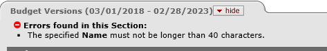 Error message displayed on Budget Versions panel when entered name is too long