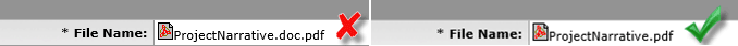 Example of a correct and incorrect name in the File Name field