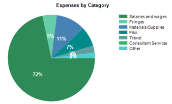 Example pie chart showing Expenses by Category, including salaries and wages, fringes, materials/supplies, f and a, travel, consultant services, other